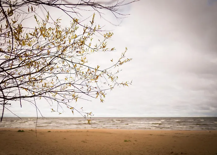 Szálloda Liivarand 3*